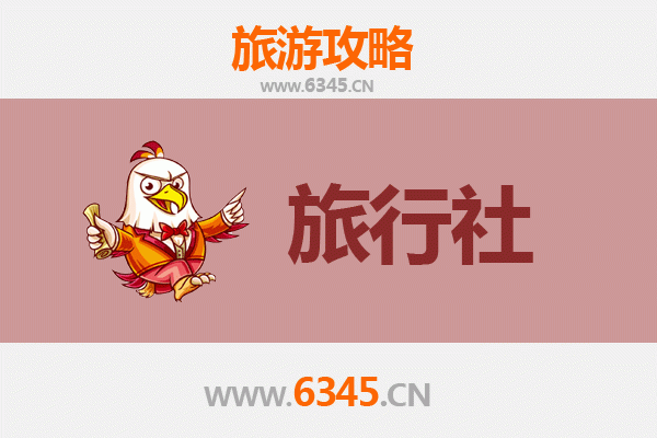 济源济水街道本地旅行社推荐：专业服务与贴心体验
